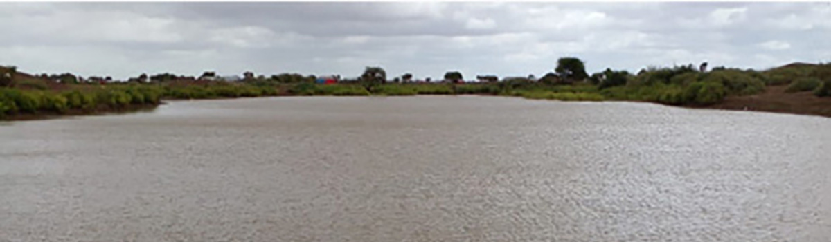Fully replenished water  catchment, W_Weyn, Lower Shabelle. FSNAU July 2022